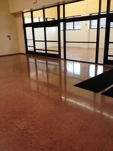 Stained Polished Floor