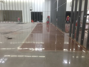 Polished and Stained Concrete