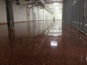Stained Concrete with Prosoco Guard